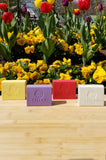 Spring Clean Soap Pack